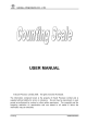 Counting Scale