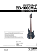 Electric Bass Guitar